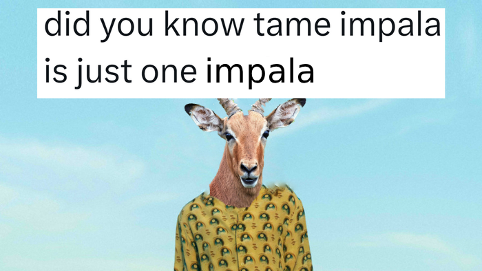 Impala